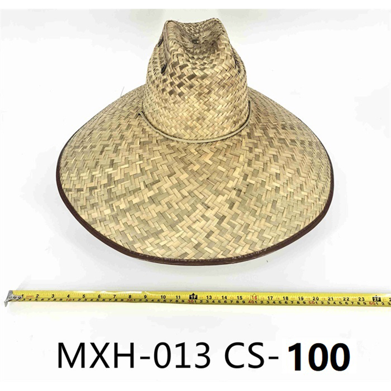 MXH-013 CS-100